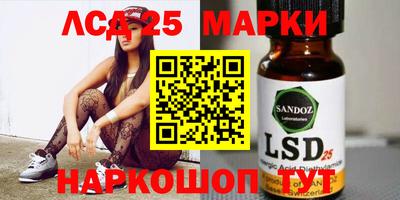 прущие грибы Нальчик