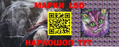 прущие грибы Нальчик