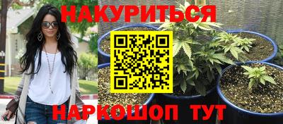 прущие грибы Нальчик